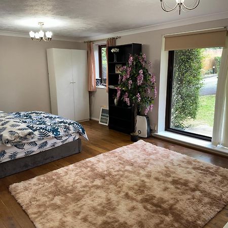 Stunning 2 Bedroom With Garden Sleep 6 London Eksteriør billede