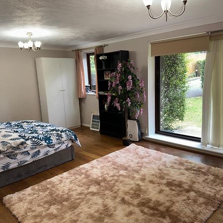 Stunning 2 Bedroom With Garden Sleep 6 London Eksteriør billede